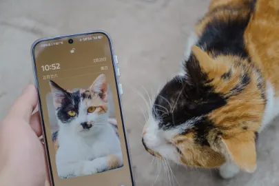 Vesper Casino Mobiele App